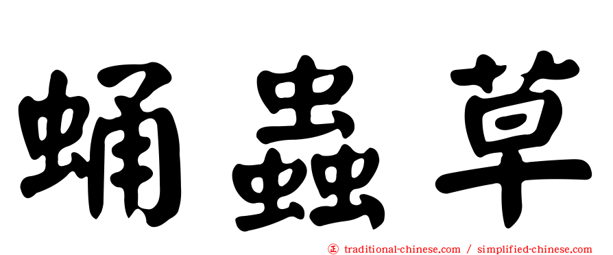 蛹蟲草