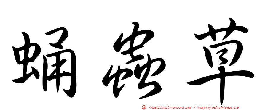 蛹蟲草