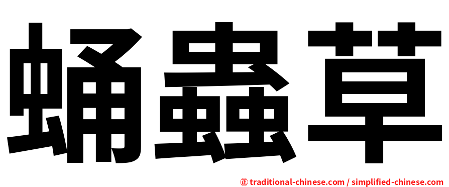 蛹蟲草