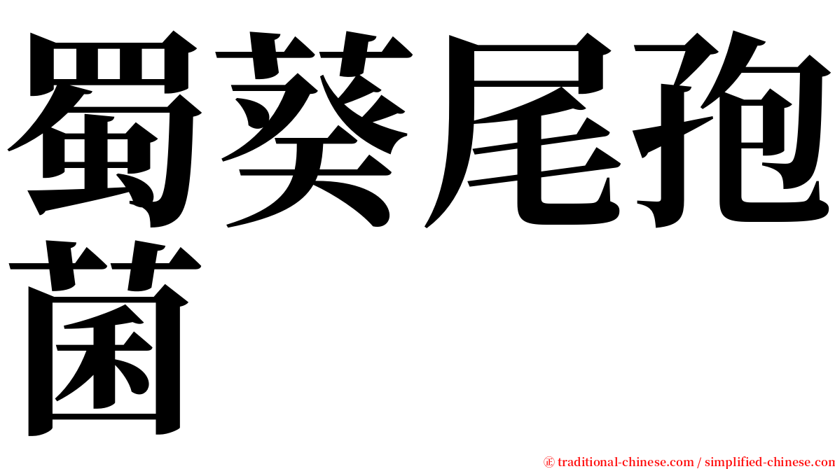 蜀葵尾孢菌 serif font