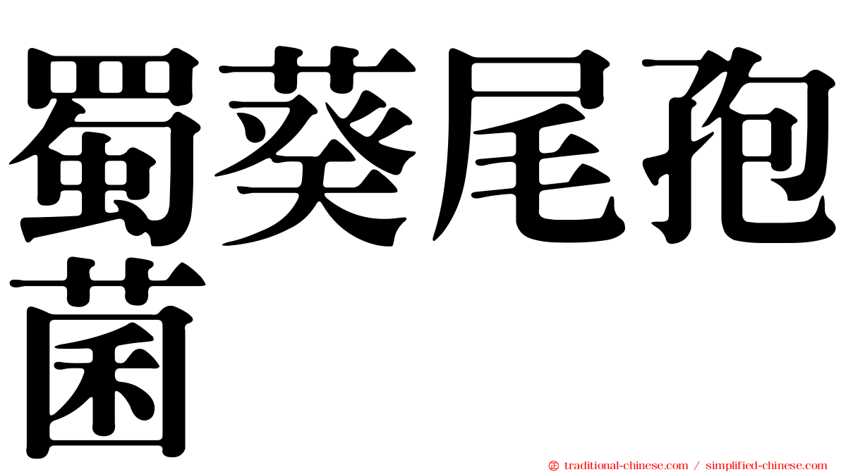 蜀葵尾孢菌