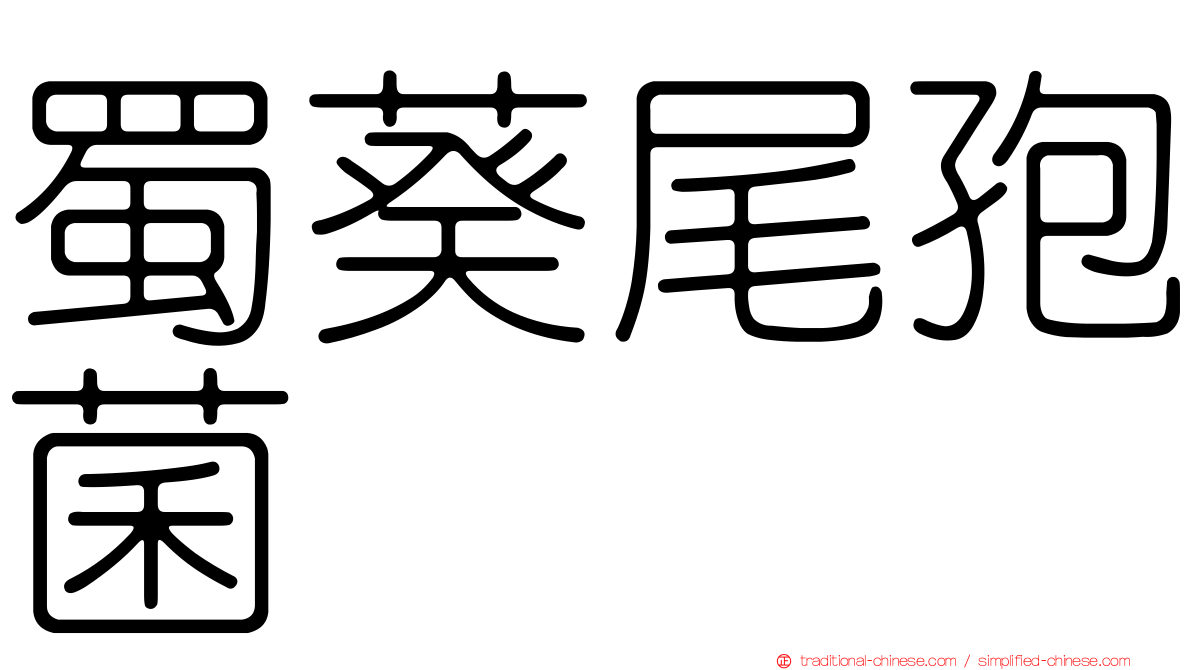 蜀葵尾孢菌