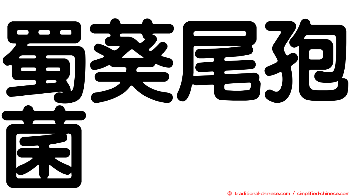 蜀葵尾孢菌