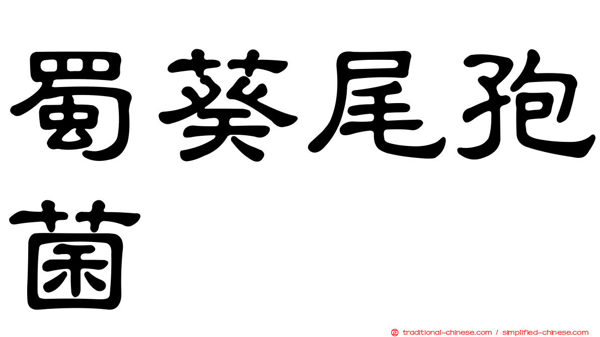 蜀葵尾孢菌