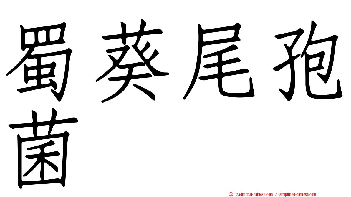 蜀葵尾孢菌