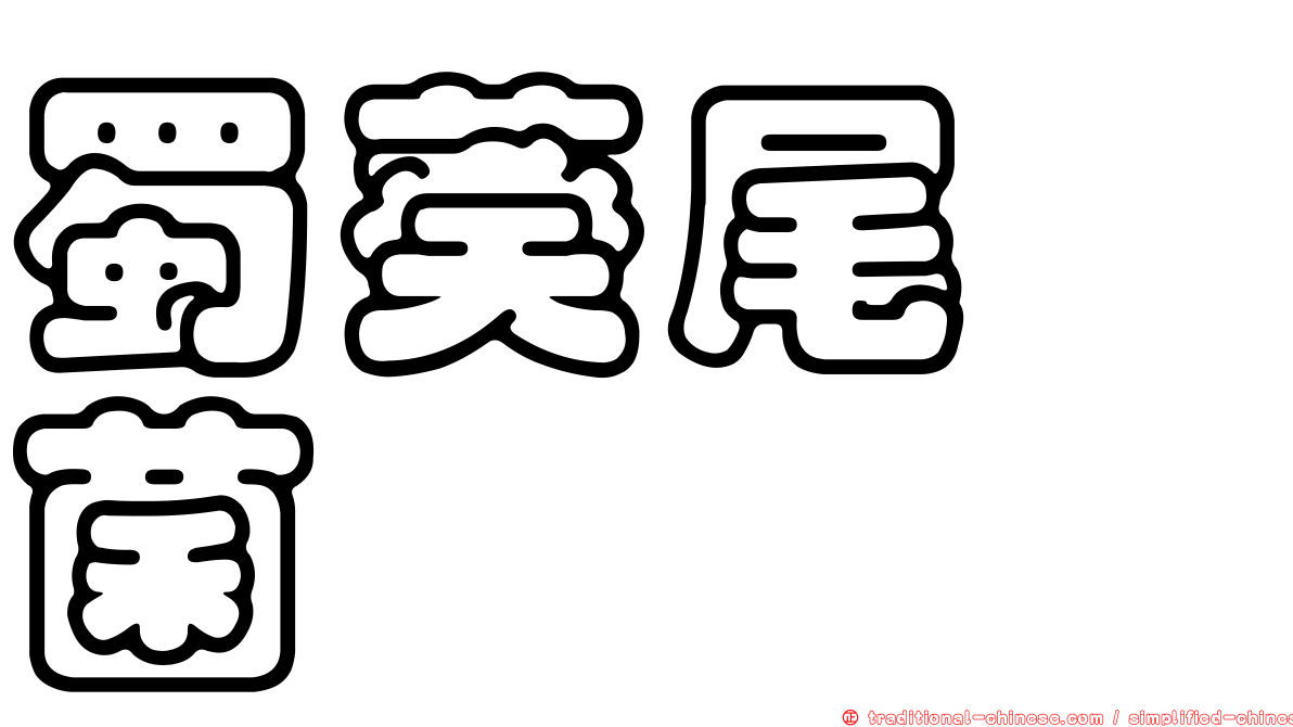 蜀葵尾孢菌