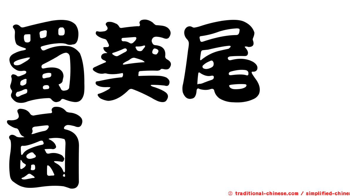 蜀葵尾孢菌