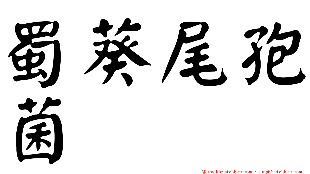 蜀葵尾孢菌