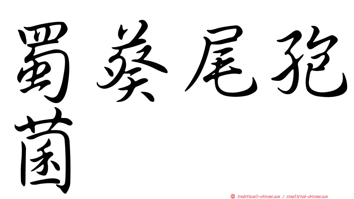 蜀葵尾孢菌