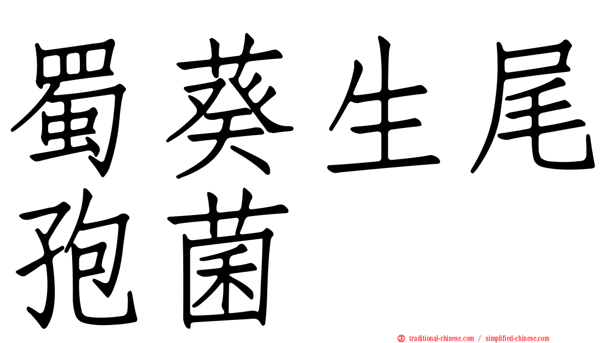 蜀葵生尾孢菌