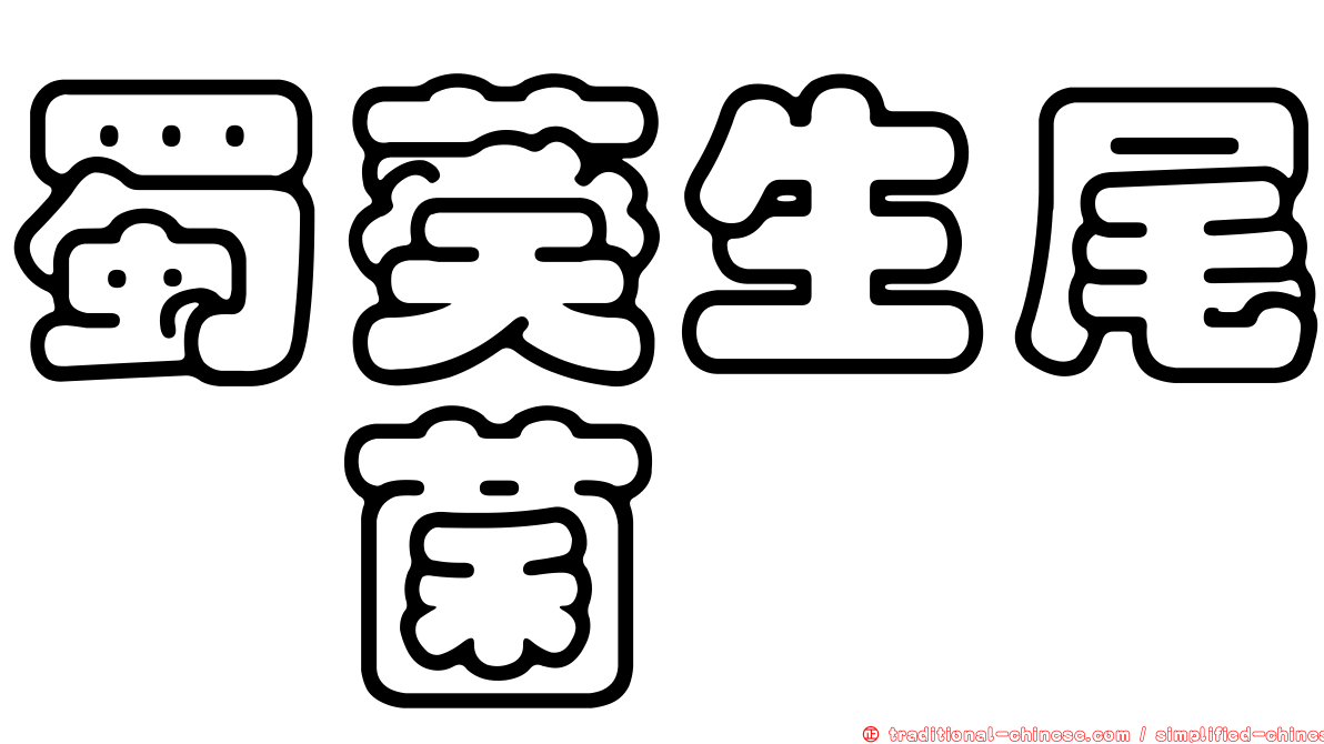 蜀葵生尾孢菌