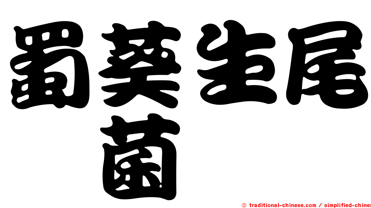 蜀葵生尾孢菌