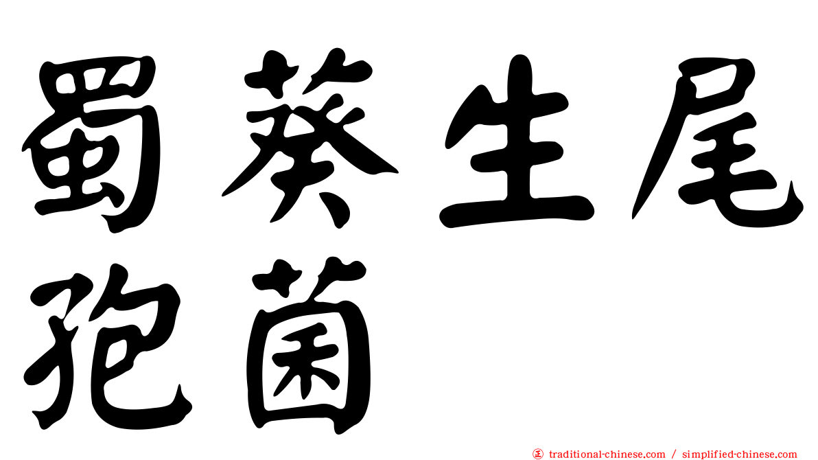 蜀葵生尾孢菌