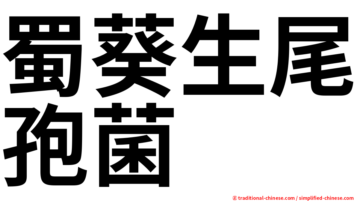 蜀葵生尾孢菌