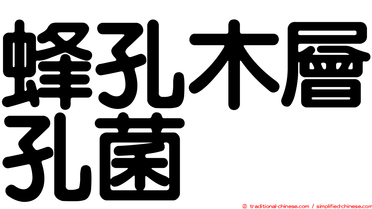 蜂孔木層孔菌