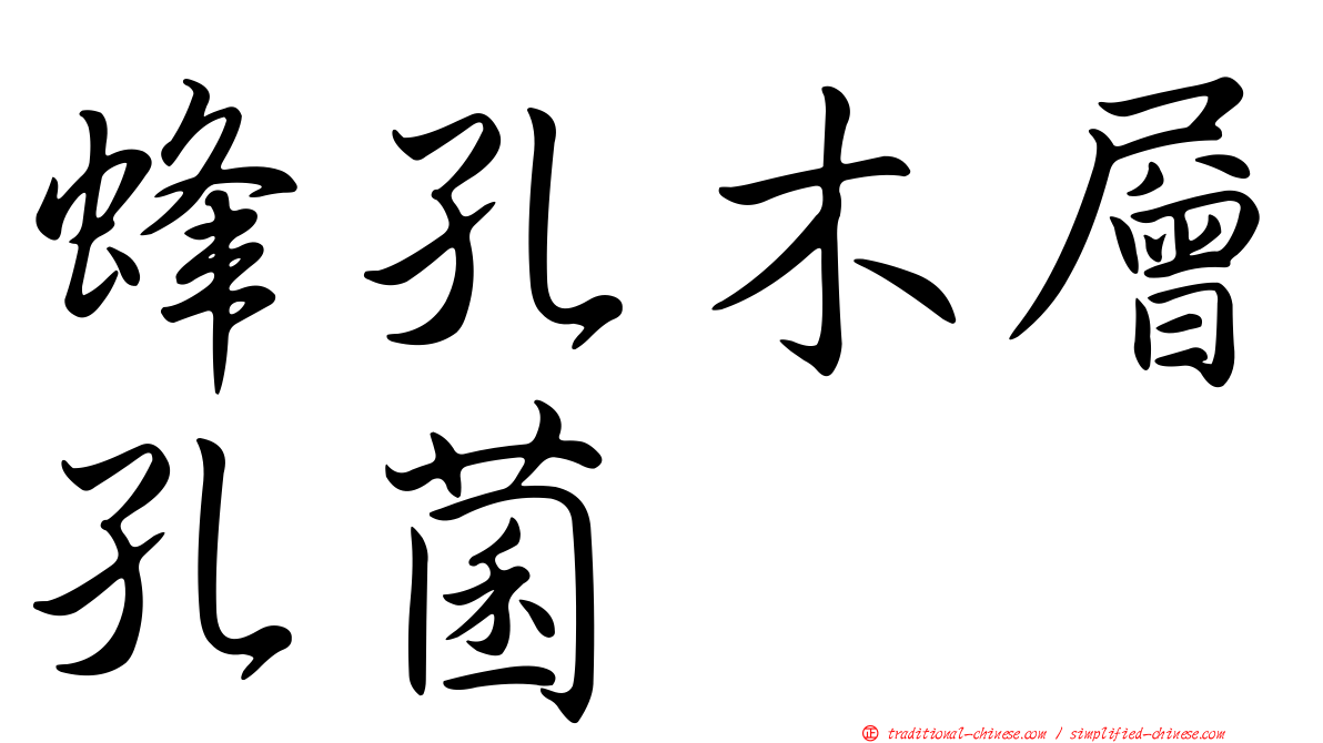蜂孔木層孔菌