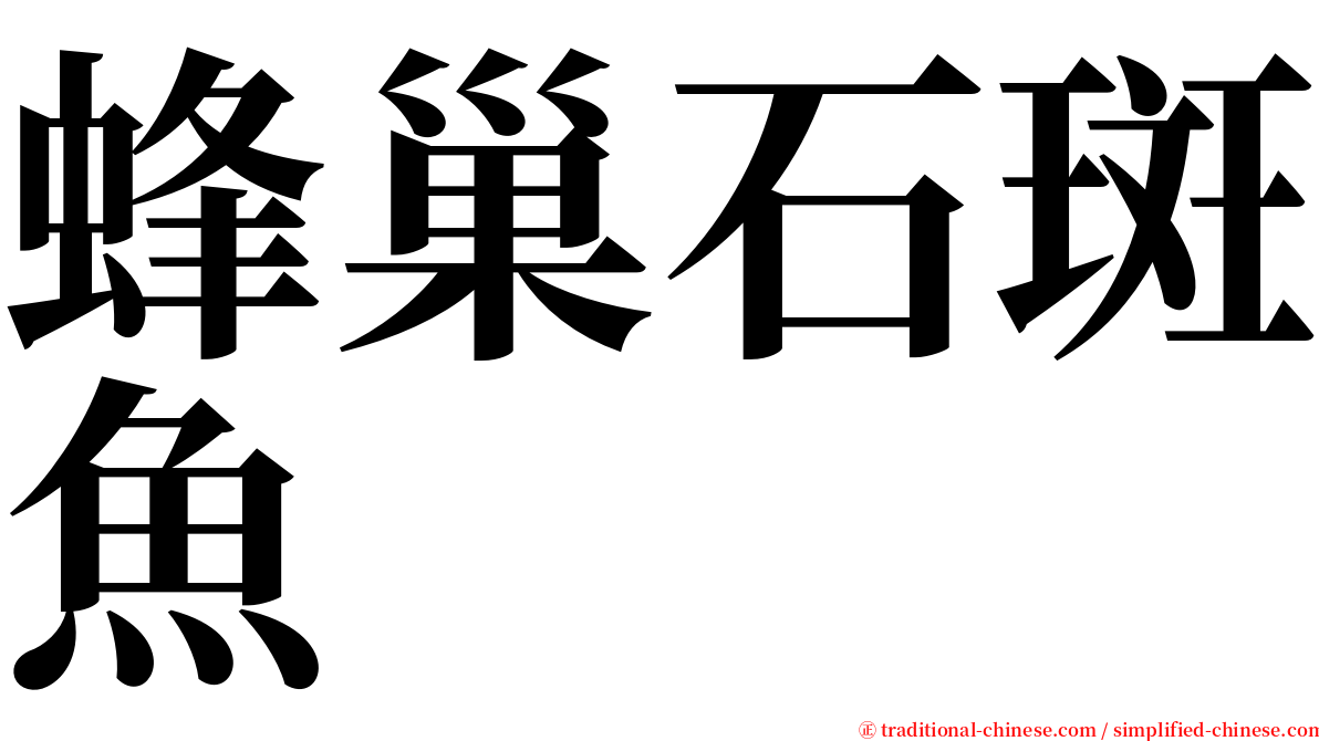蜂巢石斑魚 serif font
