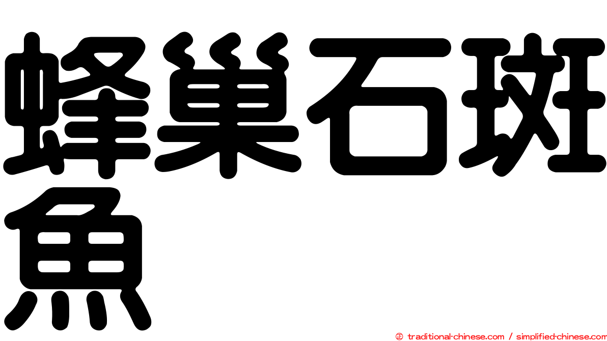蜂巢石斑魚