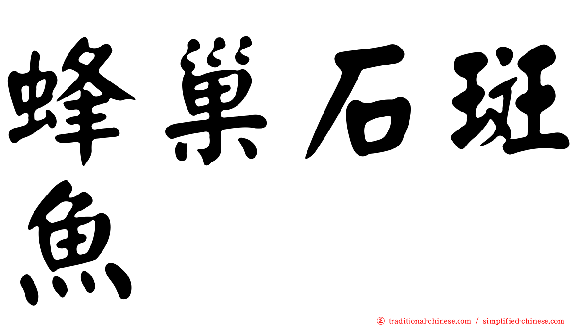 蜂巢石斑魚