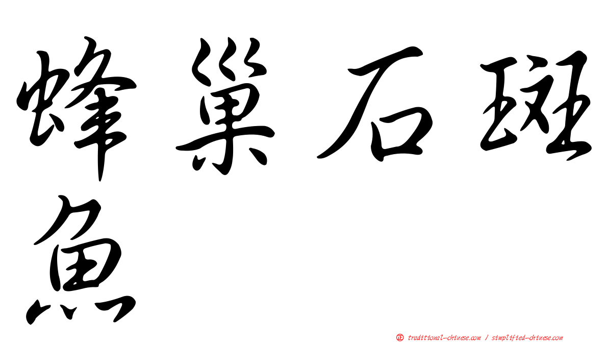 蜂巢石斑魚