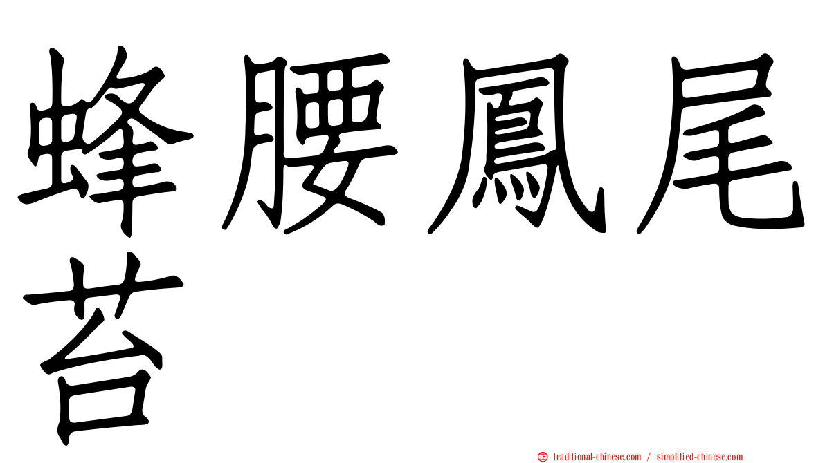 蜂腰鳳尾苔