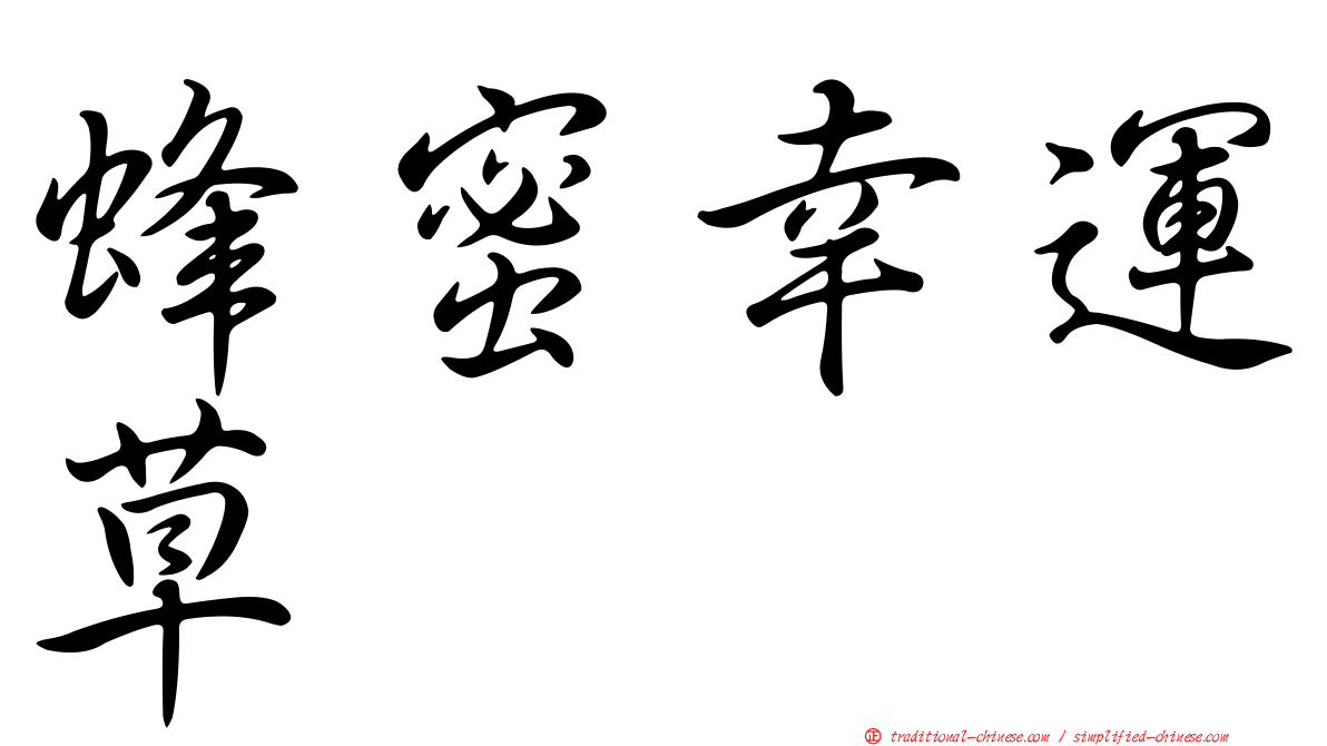 蜂蜜幸運草