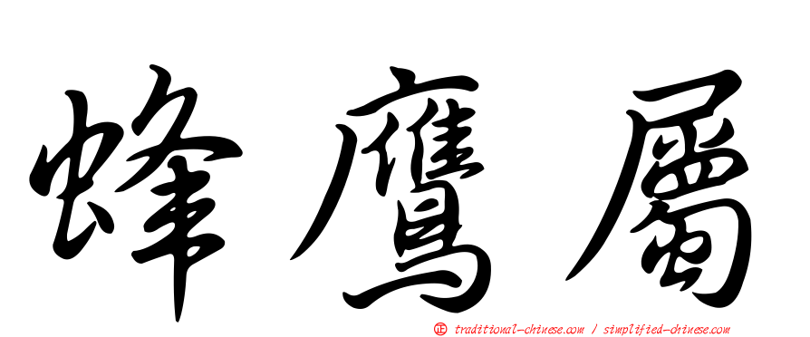 蜂鷹屬