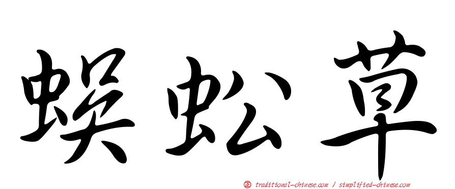 蜈蚣草