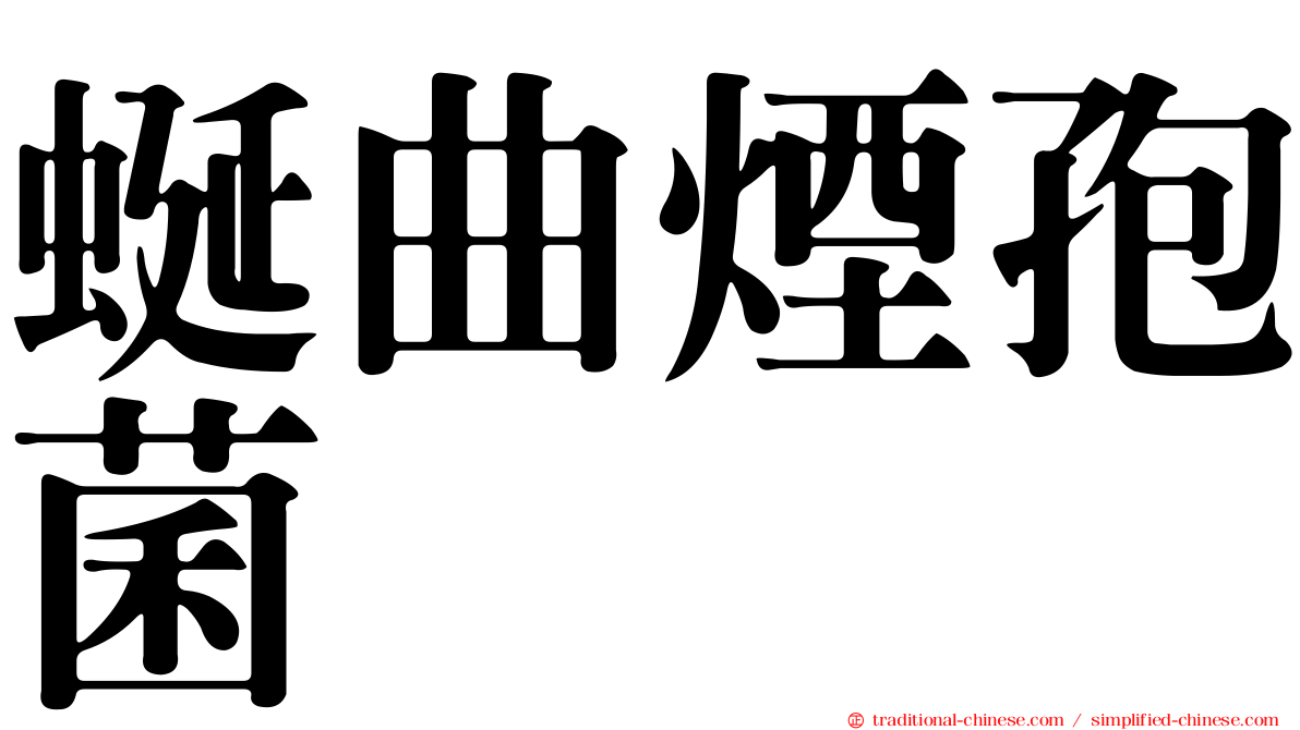 蜒曲煙孢菌