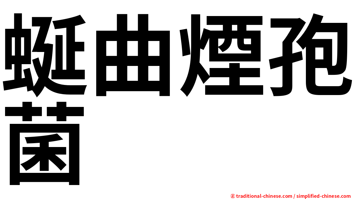 蜒曲煙孢菌
