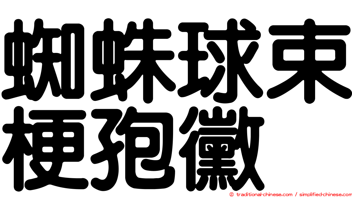 蜘蛛球束梗孢黴