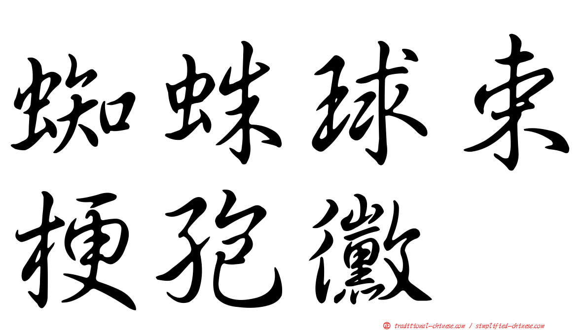 蜘蛛球束梗孢黴