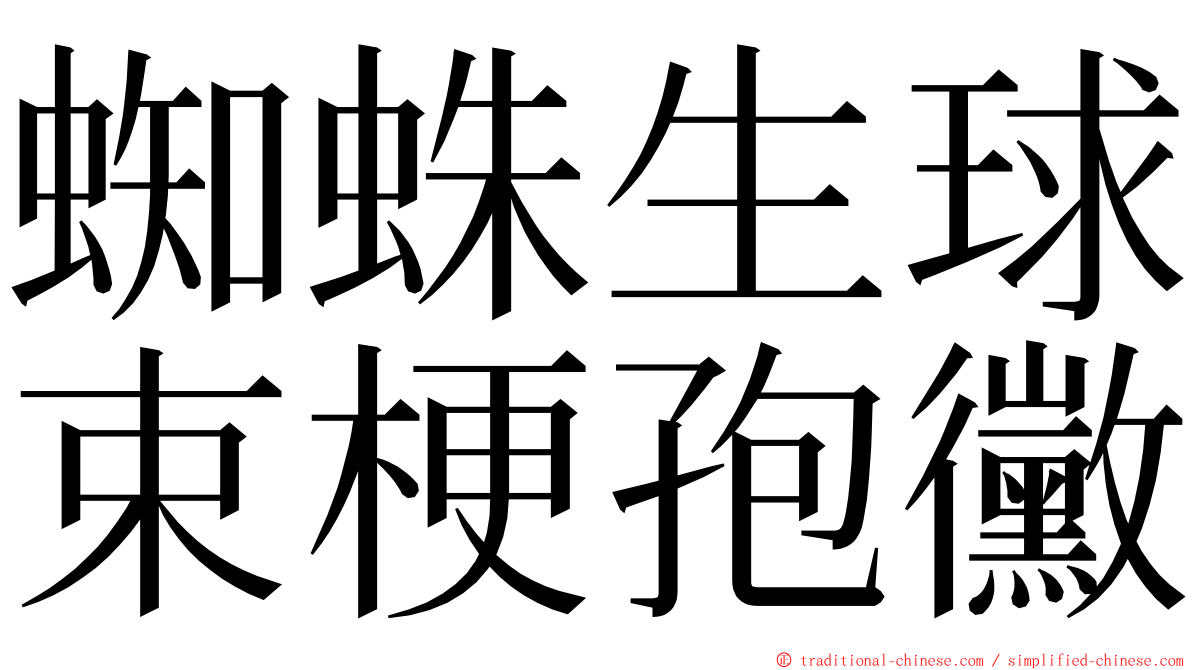 蜘蛛生球束梗孢黴 ming font