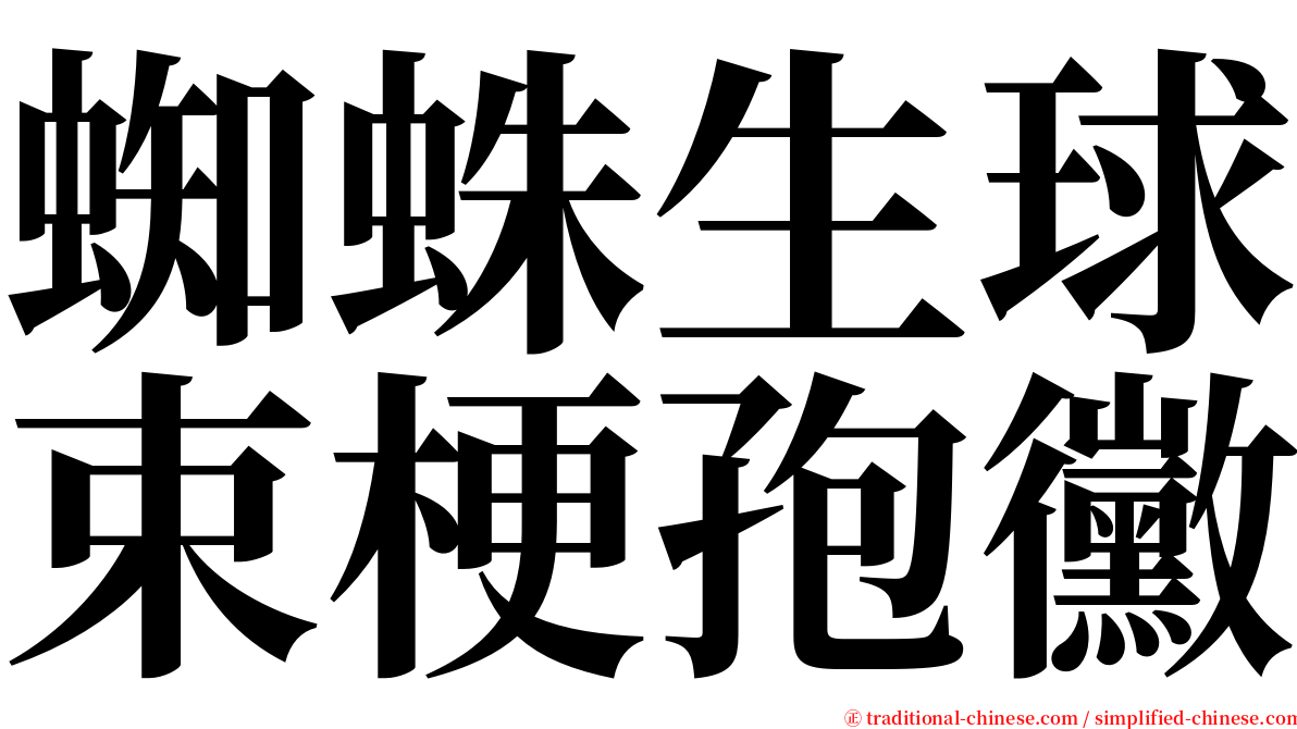 蜘蛛生球束梗孢黴 serif font