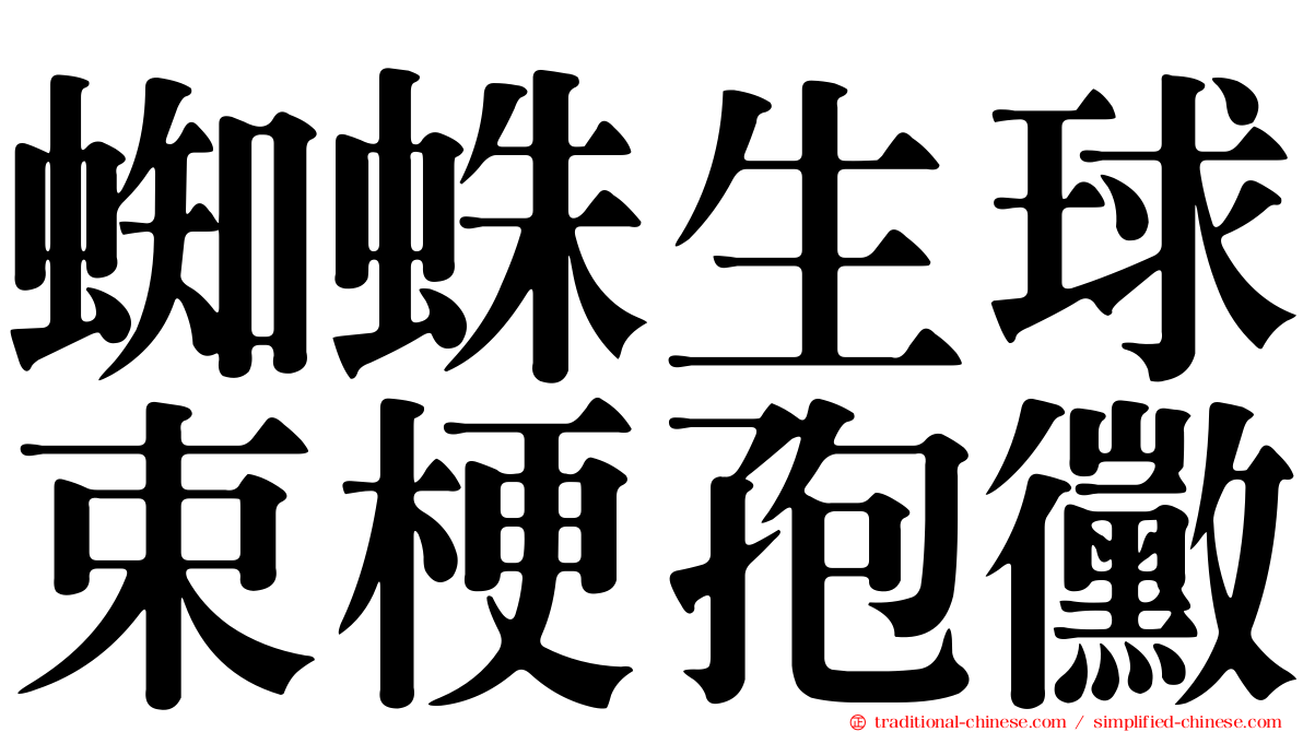蜘蛛生球束梗孢黴
