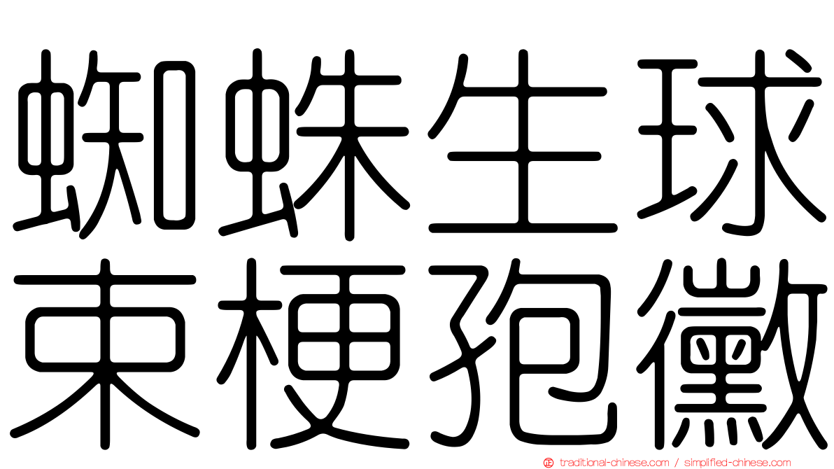 蜘蛛生球束梗孢黴