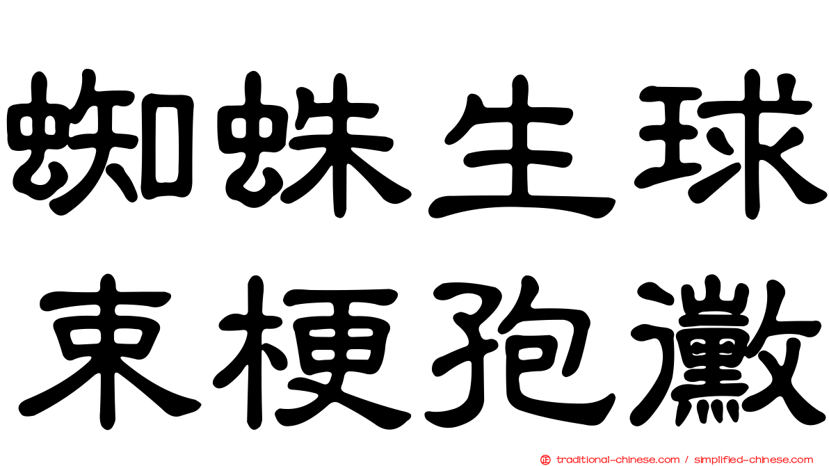 蜘蛛生球束梗孢黴