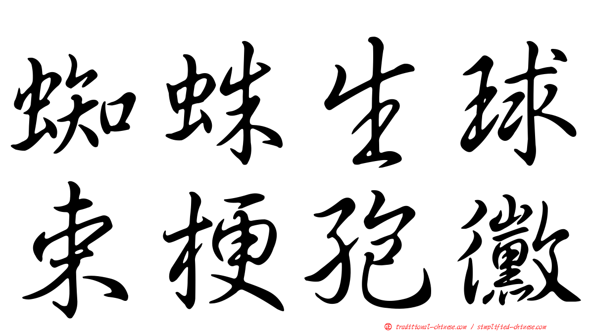 蜘蛛生球束梗孢黴