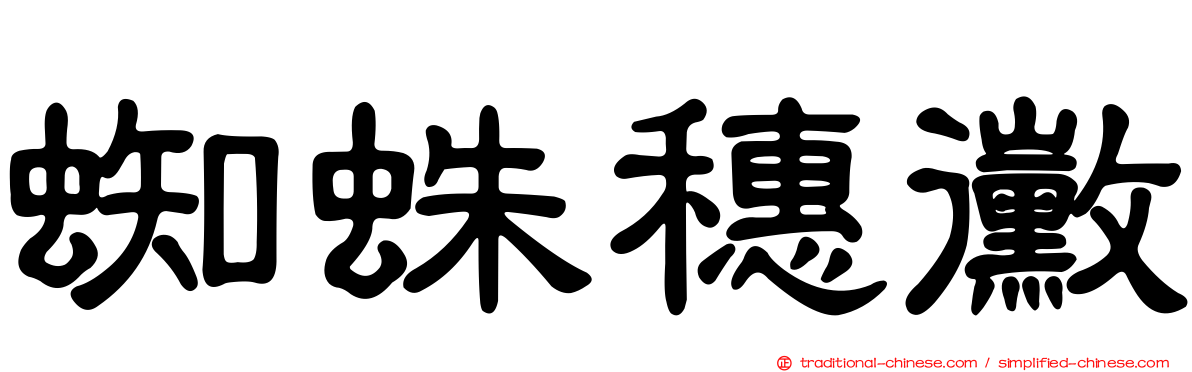 蜘蛛穗黴