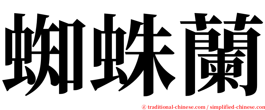 蜘蛛蘭 serif font