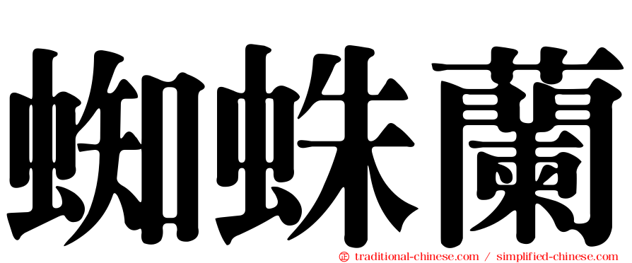 蜘蛛蘭