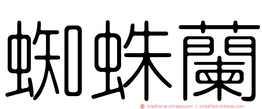 蜘蛛蘭