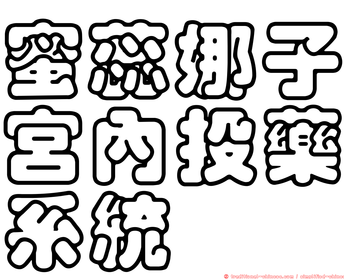 蜜蕊娜子宮內投藥系統