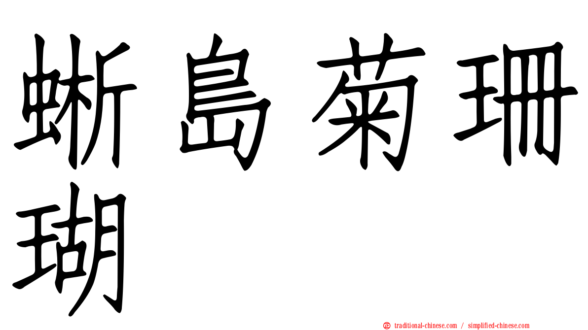 蜥島菊珊瑚