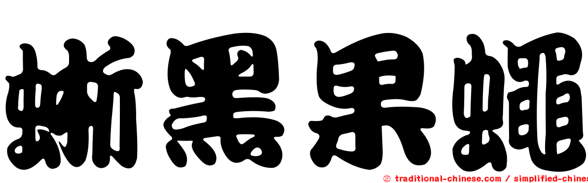 蜥黑果蠅