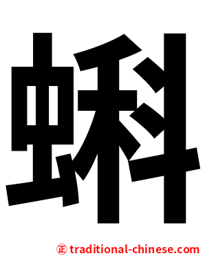 蝌