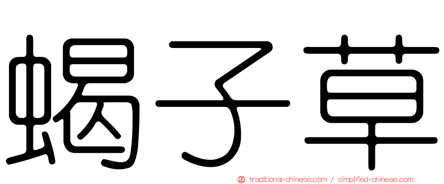 蝎子草