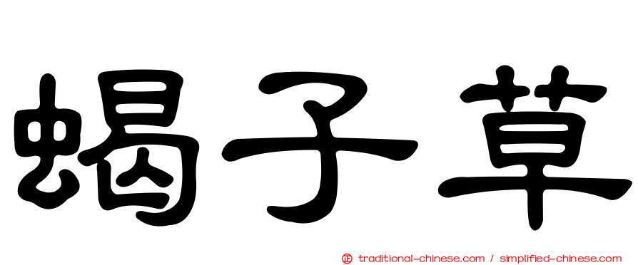 蝎子草