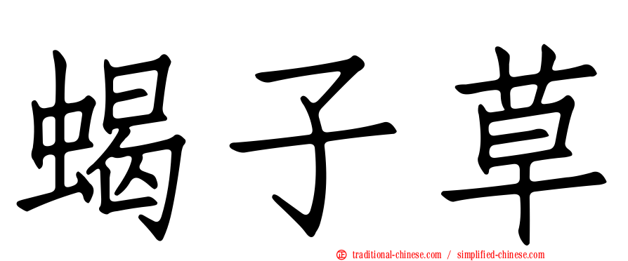 蝎子草
