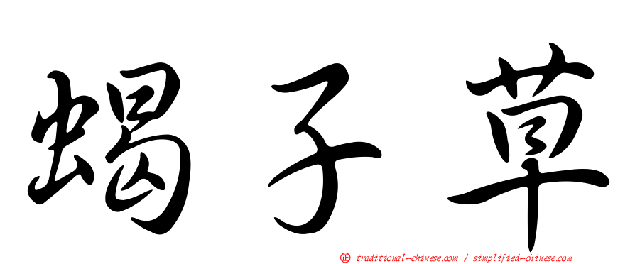 蝎子草